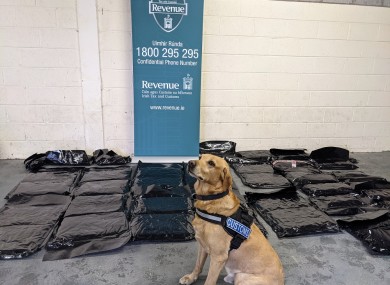 The herbal cannabis packages seized in Cork today with the help of detector dog Marley.