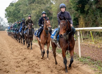 A morning exercise at the Cullentra yard in Meath (file photo)