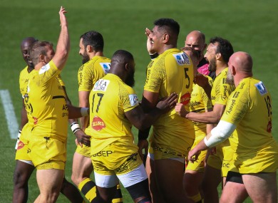Skelton celebrates after his try against Leinster.