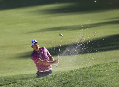 Harrington: missed out by a shot (file photo).
