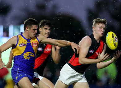Cian McBride in action for Essendon.