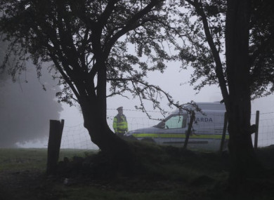 Gardaí launched the search after a review of the evidence identified the woodland as ‘an area of interest’.