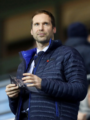 Petr Cech (file pic).