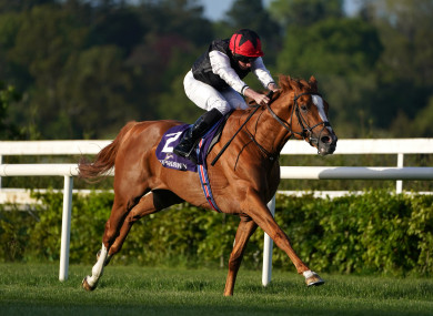 Kyprios and Ryan Moore on the way to winning the Saval Beg Levmoss Stakes at Leopardstown.