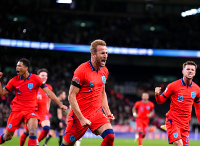 Harry Kane celebrates his goal.