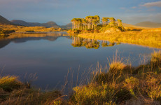 Opinion: If we turn Connemara into a large national park, it could be our Yellowstone