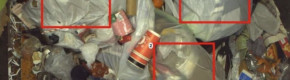 'It feels off to me': Panda customers react to being sent photos of the inside of their bins