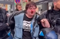 Berlin police ask watchdog to investigate after Irish pro-Palestine activist punched by officer