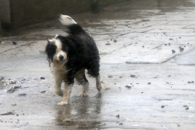 Sorry! Image not available at this time