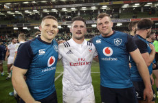 'Michael D Higgins is saying, 'Welcome home.' It was a dream'