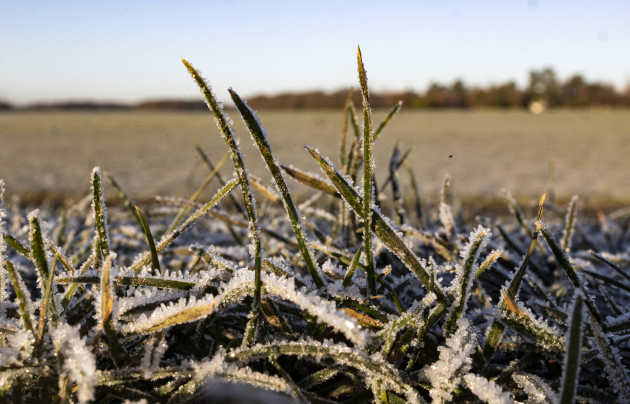 Sorry! Image not available at this time