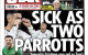 'Slick as a Parrott': Here's how Ireland's papers have reacted to last night's famous win