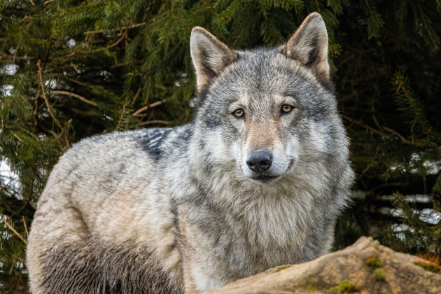 Sorry! Image not available at this time