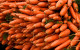 Farmers say the collapse of a major carrot grower is a red flag for Ireland's vegetable farms