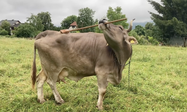 Sorry! Image not available at this time