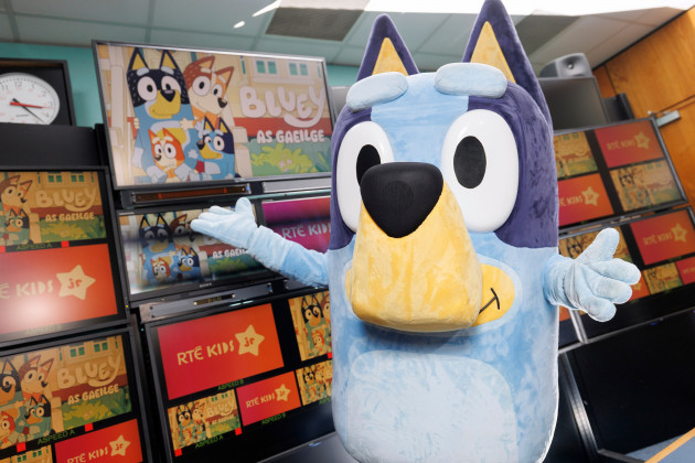 Mí-shástacht faoi Bluey as Gaeilge bheith teorannta don lucht féachana RTÉ ó dheas