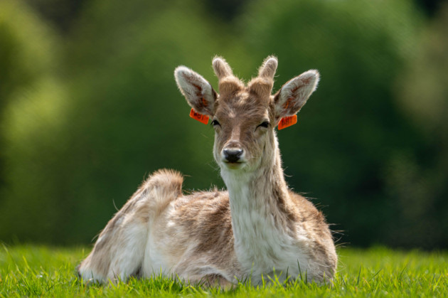 The weather is looking good for the weekend, and temperatures could hit 21 degrees