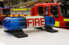 Firefighters save 300 sheep after hay shed catches fire in Down