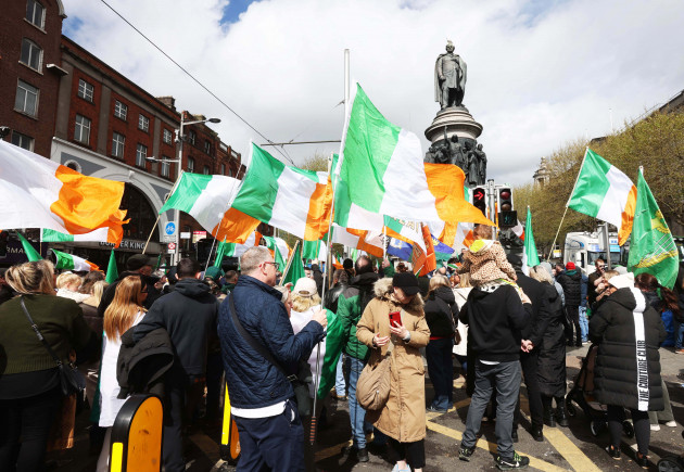 The more I read about Ireland on the internet, the less I knew who was real and who was a dog