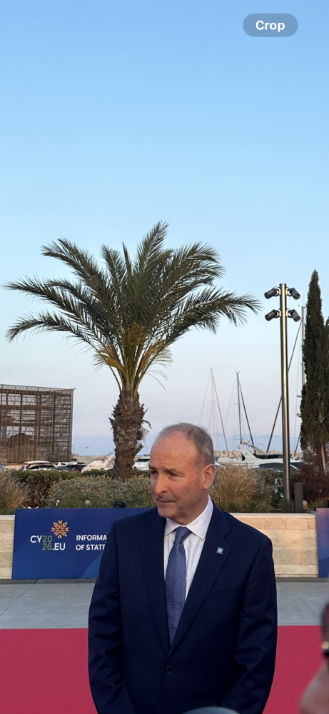 'Substantial packages' to be announced under agriculture and transport schemes, Taoiseach says 