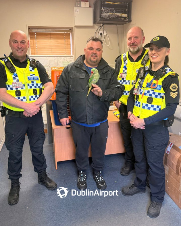 Parrot found perched outside Dublin Airport terminal reunited with owner