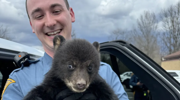 Have you ever rescued an animal? 