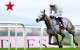 Lossiemouth lights up Punchestown with brilliant display
