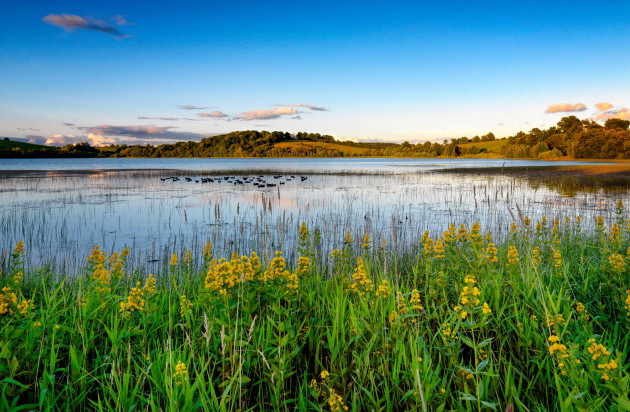 Boy in critical condition in hospital after getting into difficulty in Monaghan lake