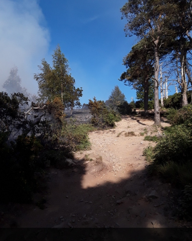 Ireland on fire: Climate breakdown and wildfires go hand in 