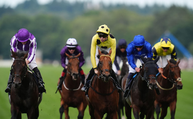 Bow Echo hangs on for St James’s Palace glory from Gstaad