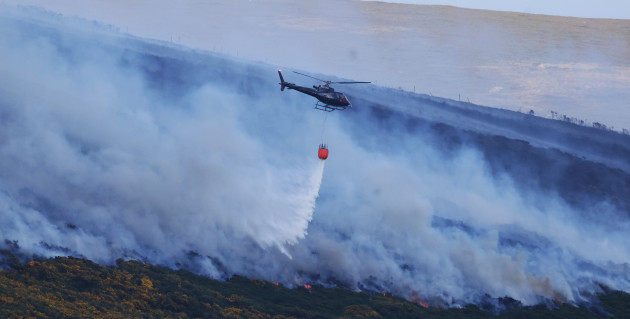 Area ‘50 times the size of Croke Park’ destroyed after ‘illegal’ fire within Wicklow Mountains