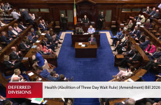Here's how every TD voted on the bill to remove the three-day wait for an abortion