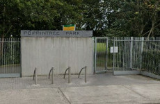 Gardaí investigating assault of men in Dublin park condemned as unprovoked racist attack