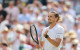 Zverev ends wildcard Fery's run to reach first Wimbledon final