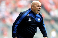 Derek McGrath appointed Wexford hurling manager on three-year term