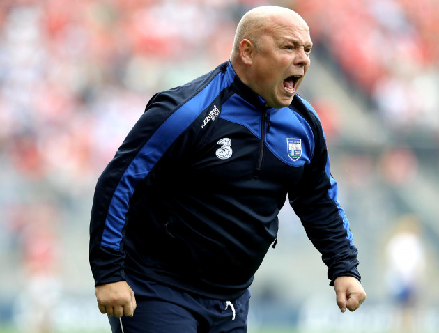 Derek McGrath appointed as Wexford hurling manager