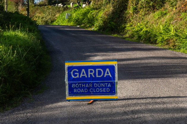 Man and woman (70s) die and two others injured in Co Louth crash