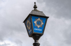 Gardaí investigating disappearance of man in his 60s make arrest