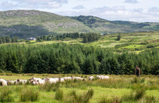 Planning laws: Rural Ireland needs young families to stay there, otherwise it won't survive
