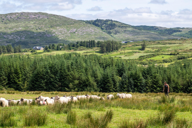 Planning laws: Rural Ireland needs young families to stay there, otherwise it won't survive