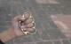 Garda acquitted of assaulting teenager who was armed with knuckleduster at large-scale fight