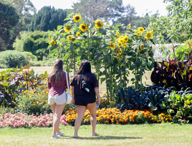 National Severe Weather group meet as temperatures to hit highs of up to 30C tomorrow 