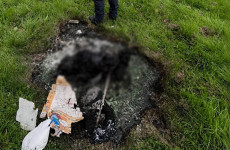 Gardaí and NSPCA investigate alleged burning of dog in Ballymun after remains discovered