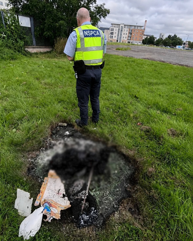 Gardaí and NSPCA investigate alleged burning of dog in Ballymun after remains discovered