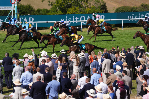 American Affair flies the flag for Goldie at Goodwood