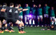 A huge World Cup season is already underway for Irish rugby
