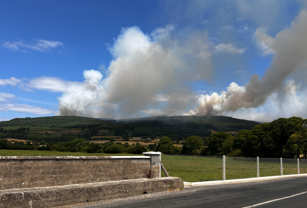 Has the type of tree planted on Slievenamon made this week's wildfires worse? 