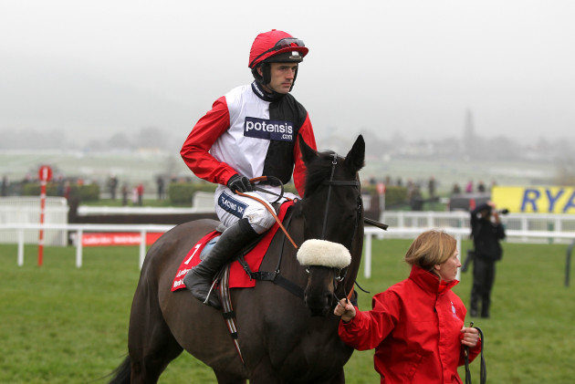 'Over hurdles, he was invincible': Superstar racehorse Big Buck’s dies aged 23