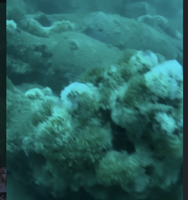 Divers find 2,100-year-old Roman shipwreck off coast of Sicily