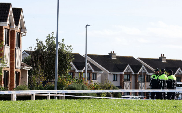 'Her life revolved around her children': Shock and upset in Waterford estate hit by deadly arson attack